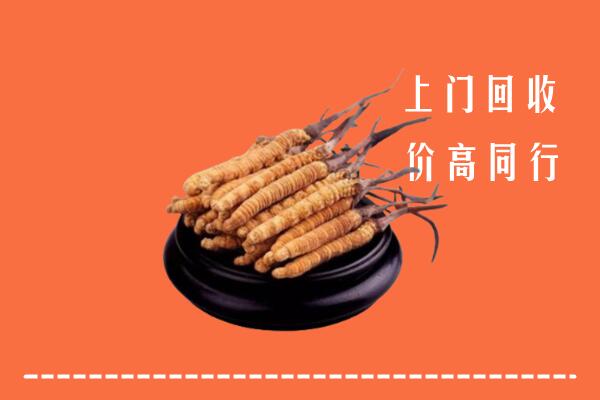 高价求购：天津回收散虫草