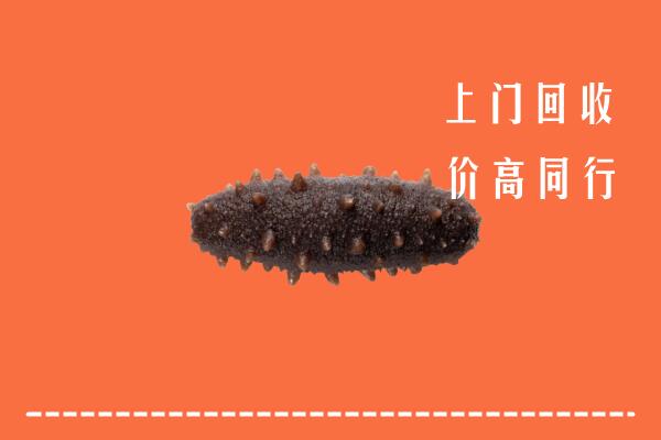 高价求购：天津回收海参