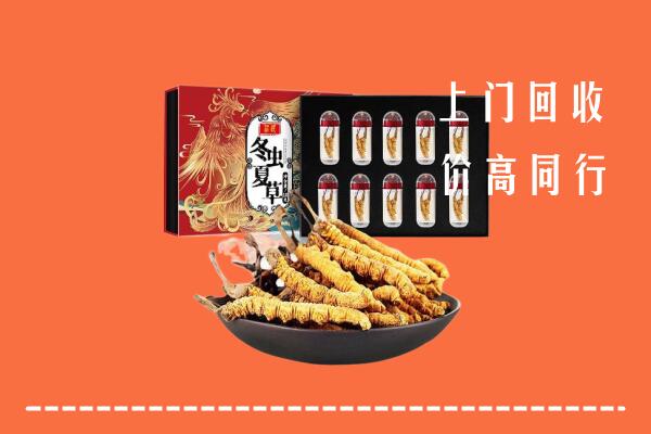 天津回收虫草